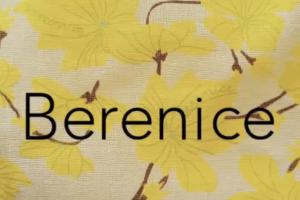 Vetements de marque à prix remisé en Normandie - Berenice