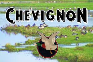 Prenez votre envol 🦆.