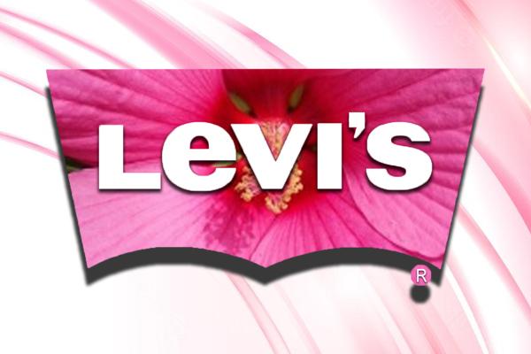Levi's femme